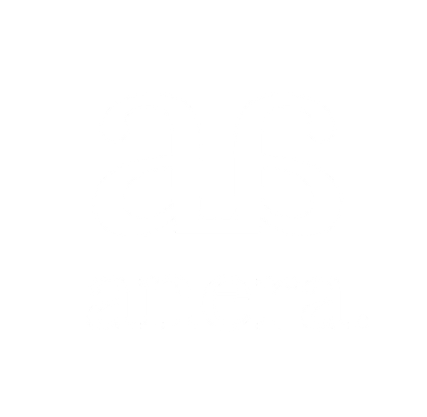 aneraequestrian